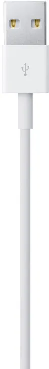 Кабель Apple USB - Lightning (1 м)