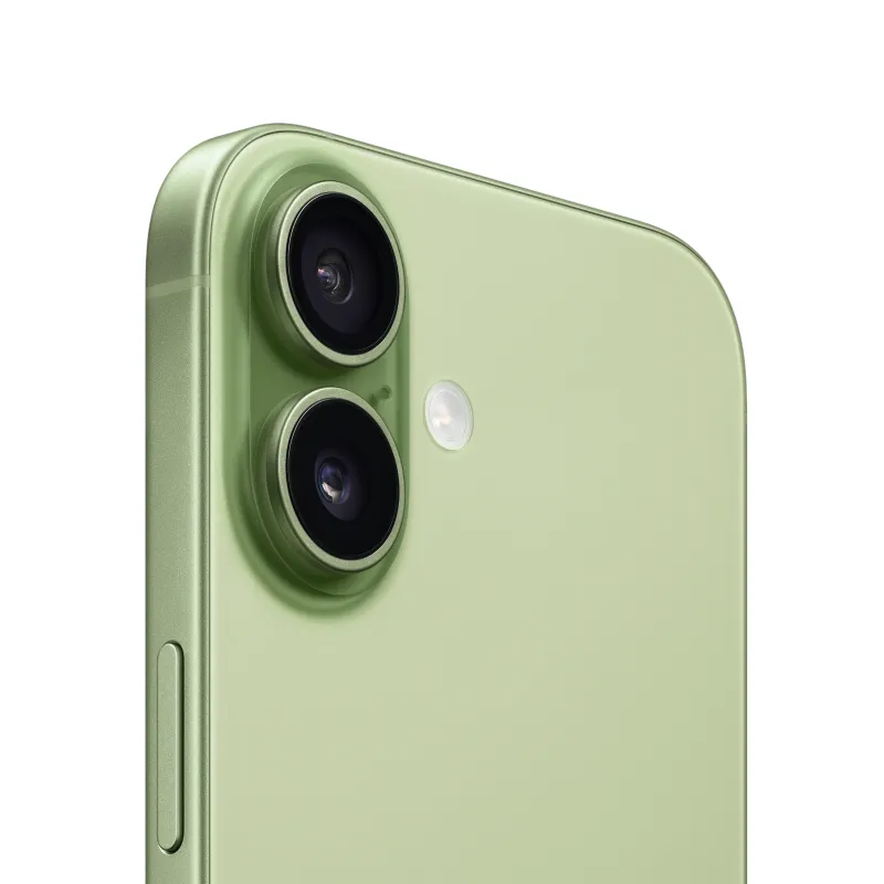 iPhone 17 256 Гб Зелёный (eSIM)