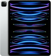 iPad Pro 11'' (2022) 1&nbsp;Тб