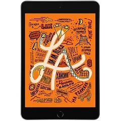 iPad mini 5 256Gb Wi-Fi Space Gray